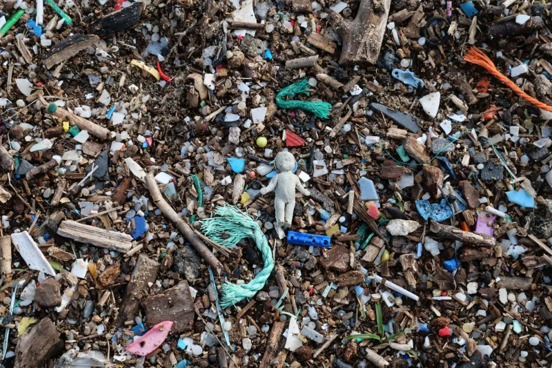 O ingrediente oculto nos seus cosméticos que está prejudicando sua pele e o oceano ao mesmo tempo